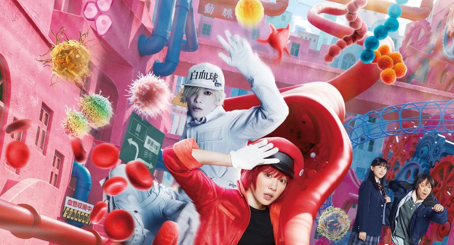 Cells at Work! live-action: Tác giả đăng tranh vẽ ăn mừng sau doanh thu 6,2 tỷ yên