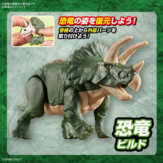 Plannosaurus Triceratops Assembly Toy BANDAI MODEL KIT 4573102642639