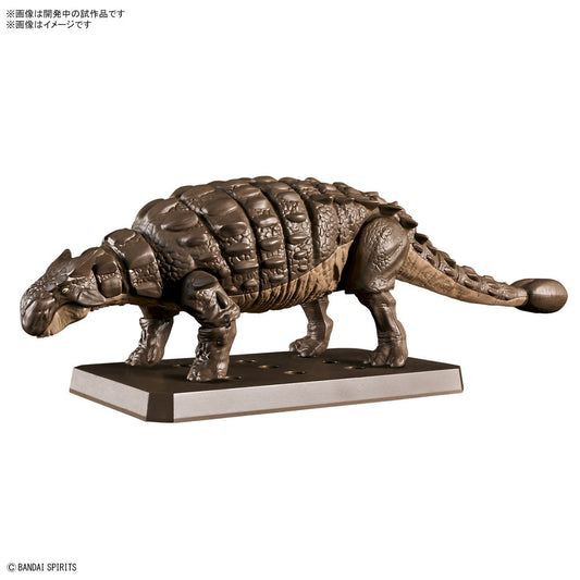 Plannosaurus Ankylosaurus Assembly Toy BANDAI MODEL KIT 4573102657022