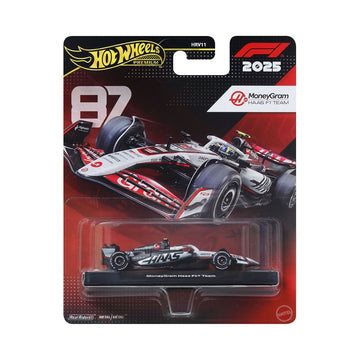 HW RACE TEAM HAAS F1 Super Racing Car - Driver No. 87